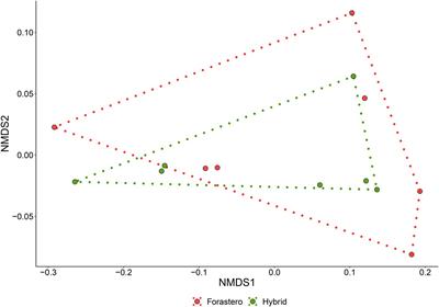 Unraveling potential enzymes and their functional role in fine cocoa beans fermentation using temporal shotgun metagenomics